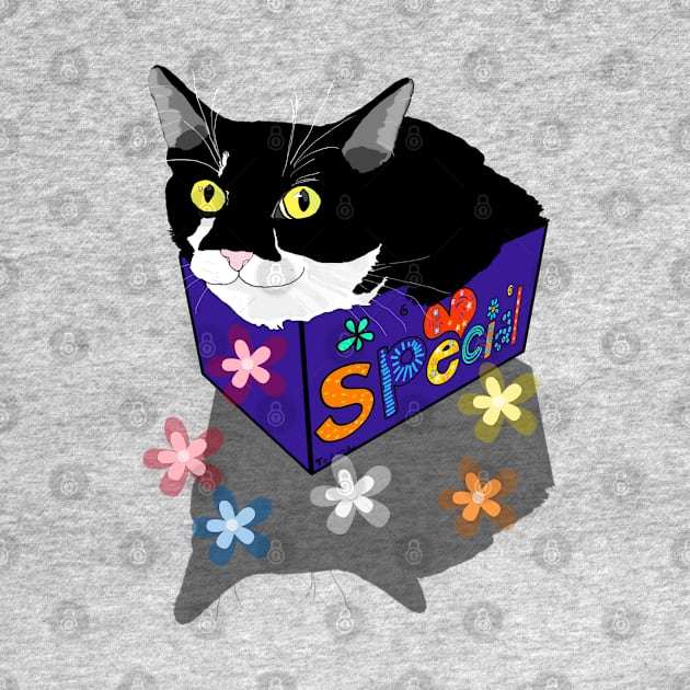 Cute Tuxedo cat sits and fits in a box  Copyright TeAnne by TeAnne